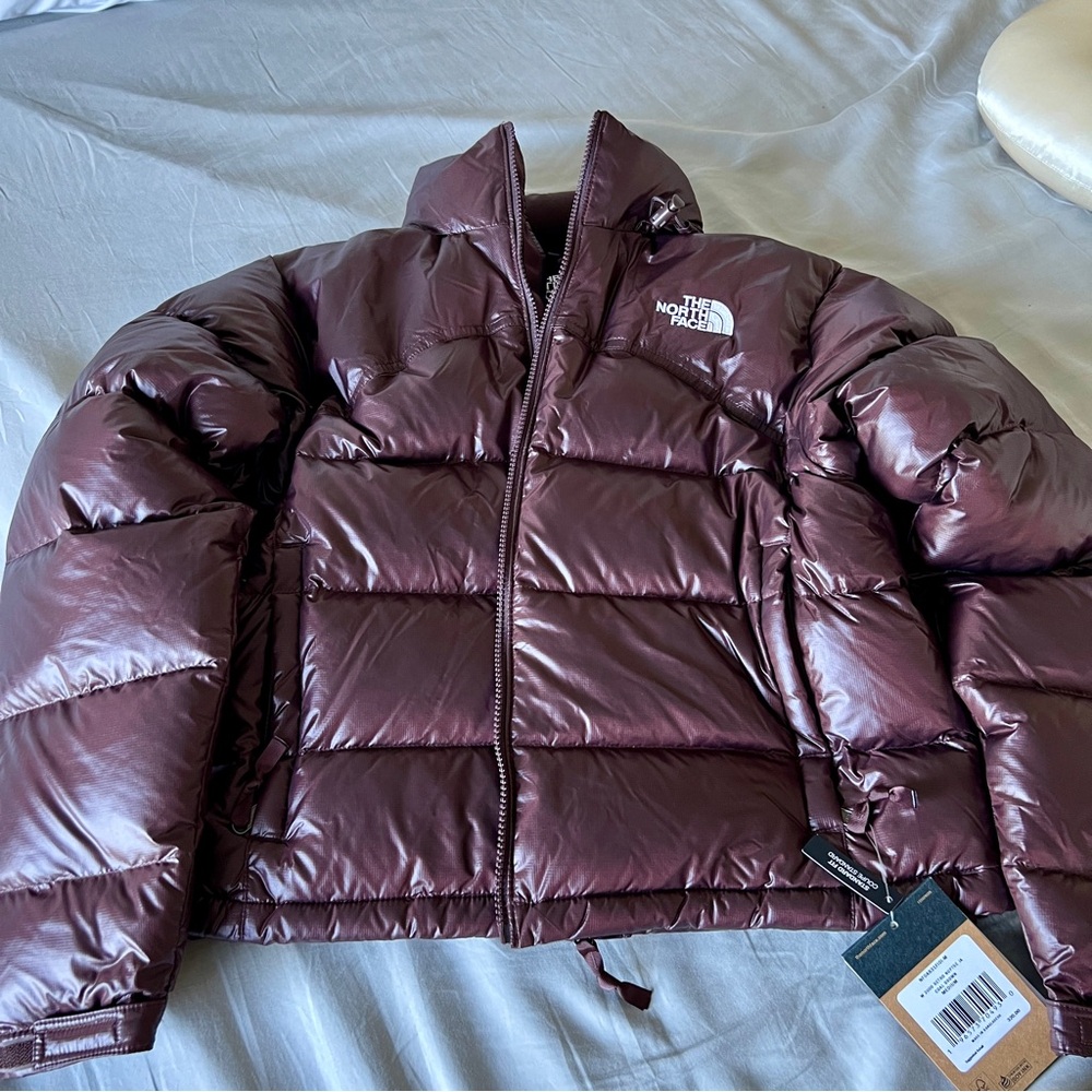 NWT The North Face Retro 2000 Nuptse Down Puffer Jacket in Brown (Size M)